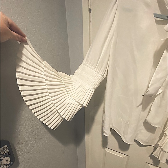 Pleated Bell Sleeve Blouse - Picture 3 of 5